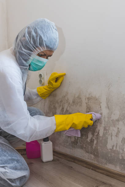 Best Forensic Mold Investigation  in USA